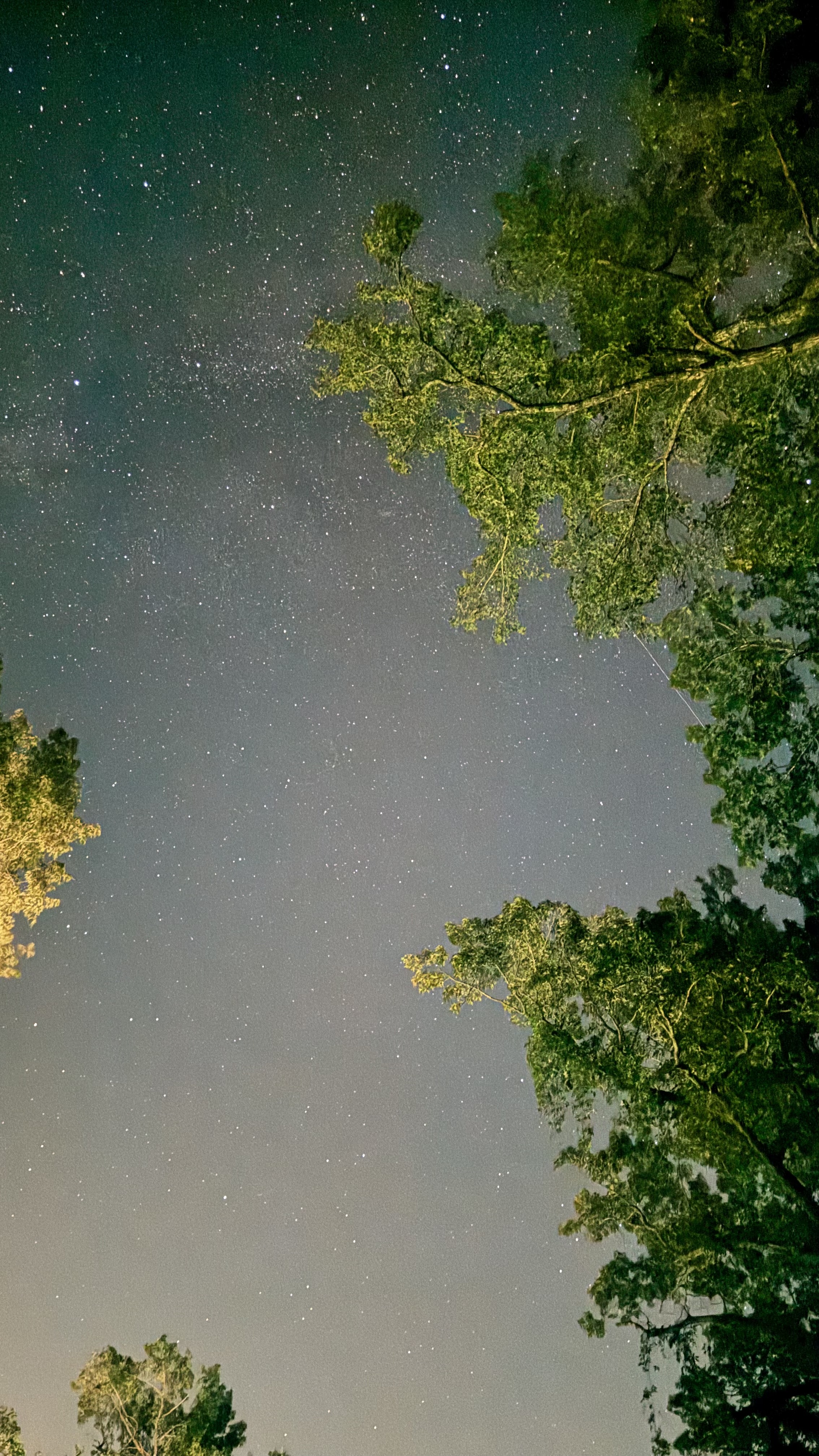 more stars in the sky